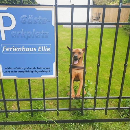 Ferienhaus Ellie هافكروغ المظهر الخارجي الصورة